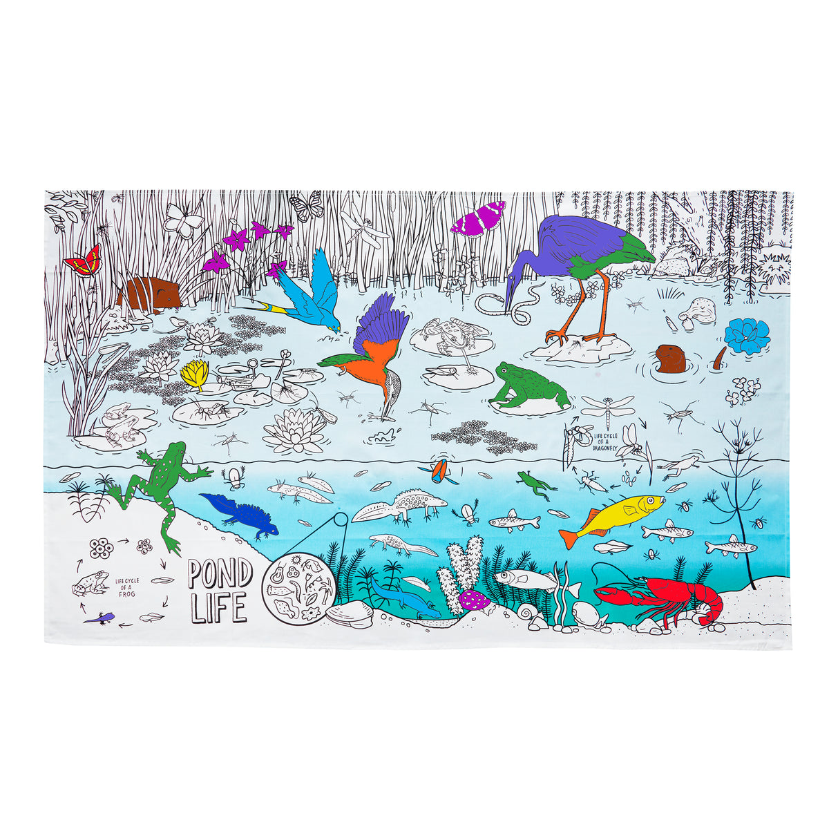 color in pond life wrapping paper activity kit – eatsleepdoodle (USA)