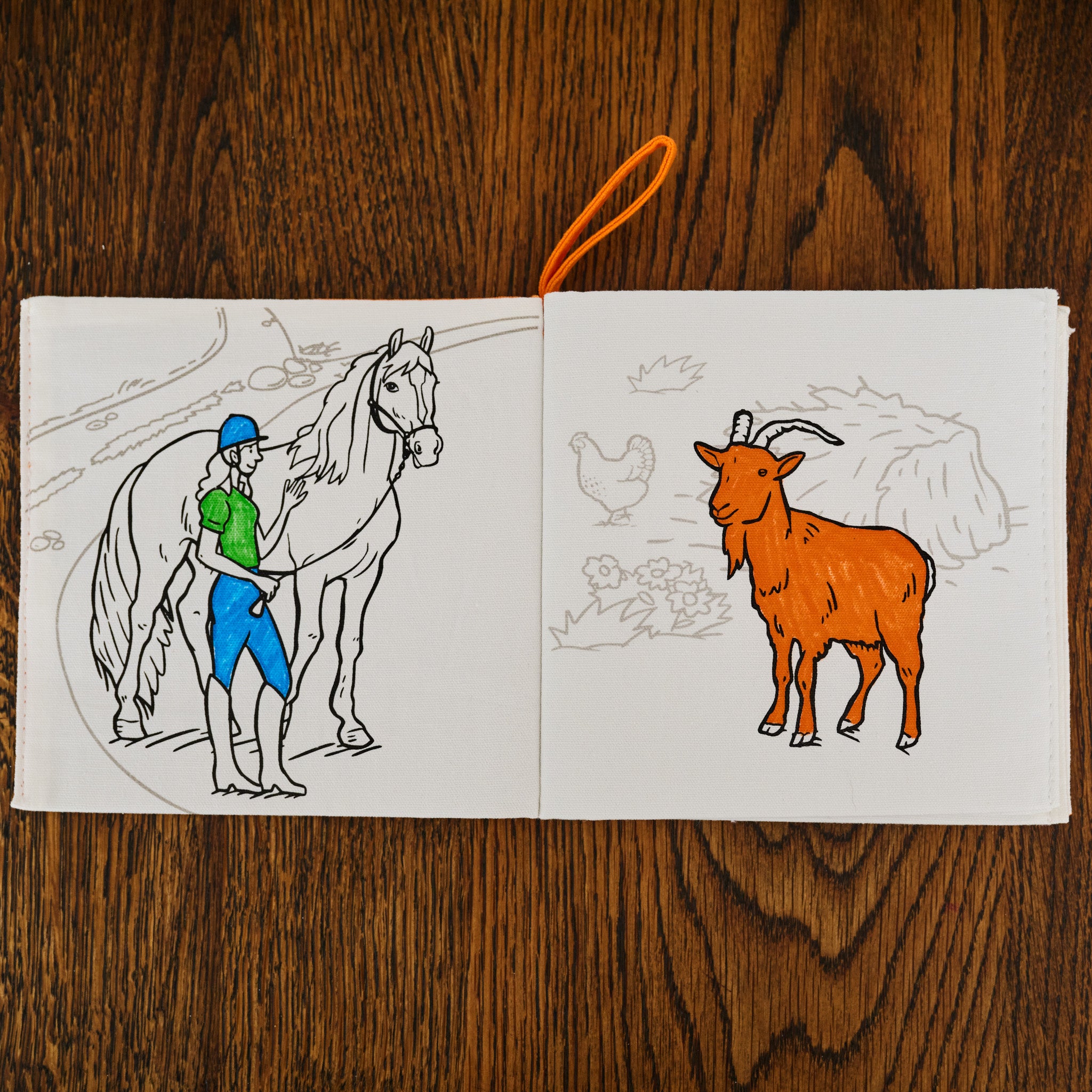 Livre de coloriage sur la ferme