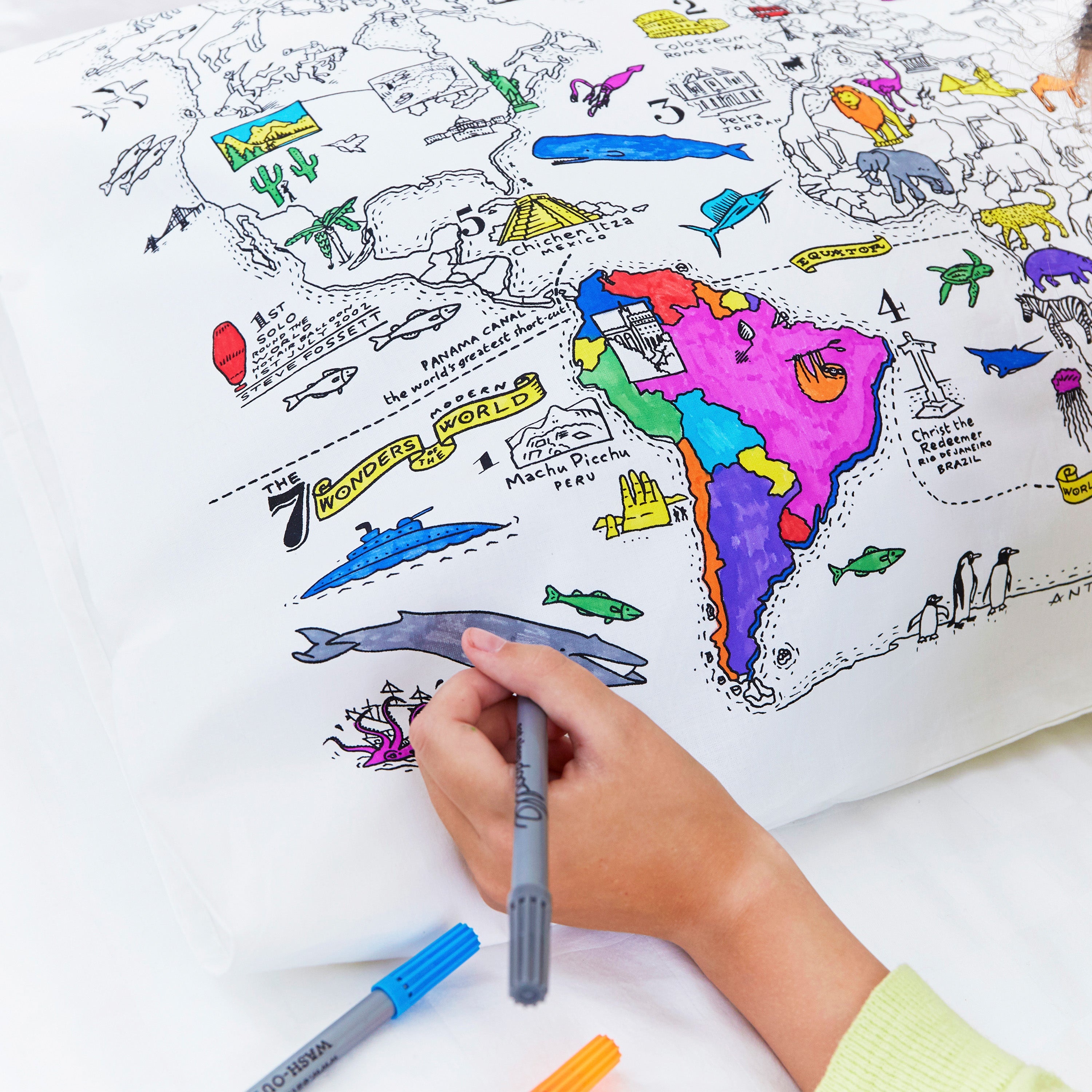 world map pillowcase