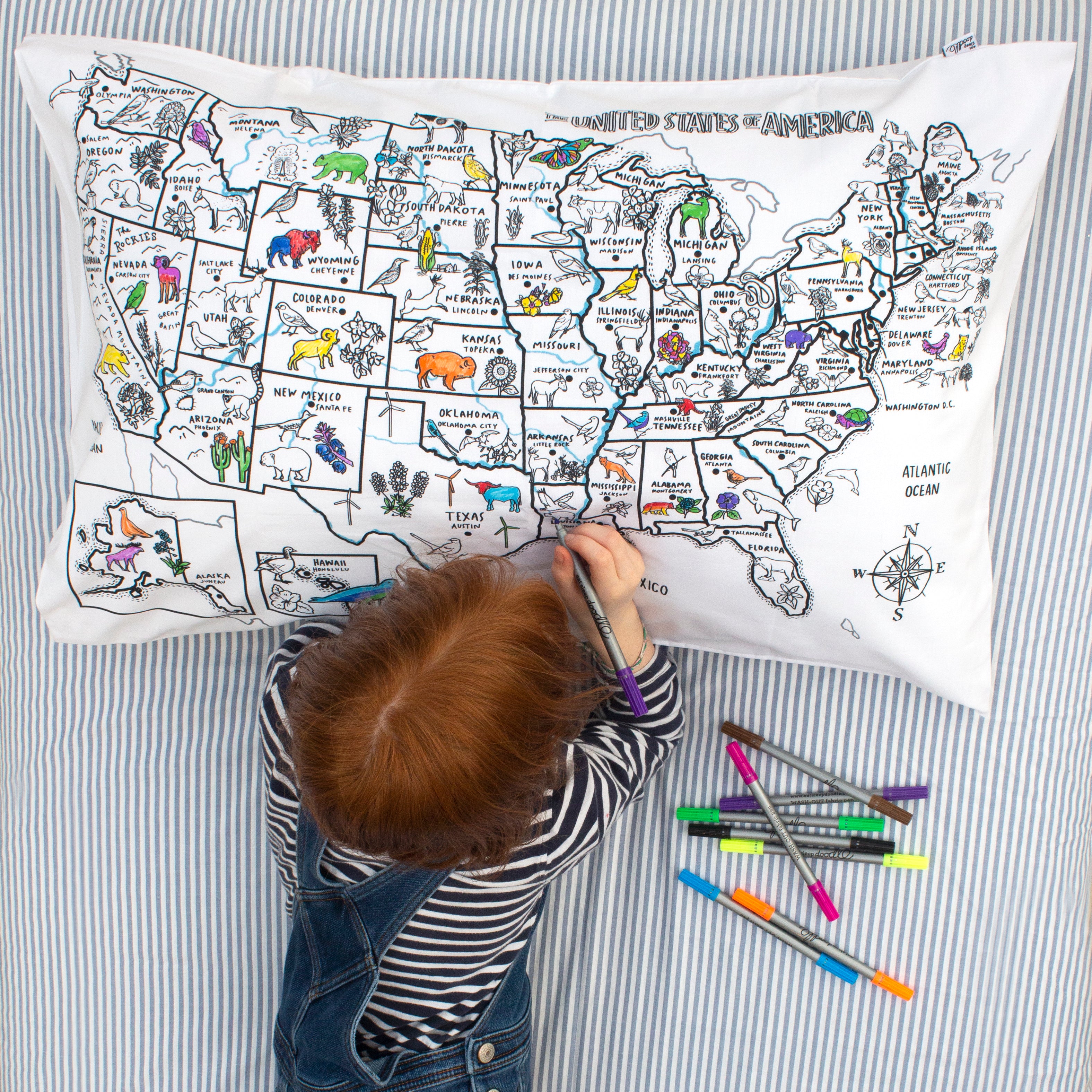 US map pillowcase