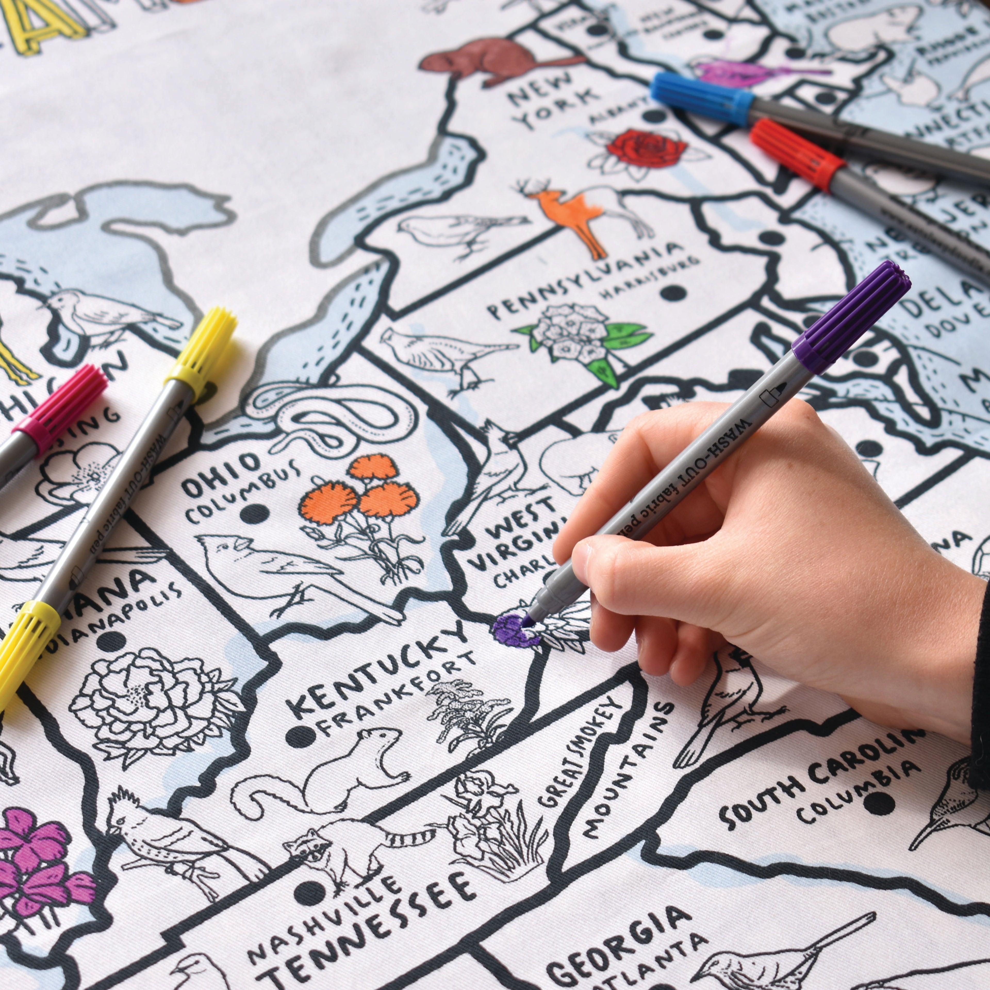 United States map color in tablecloth