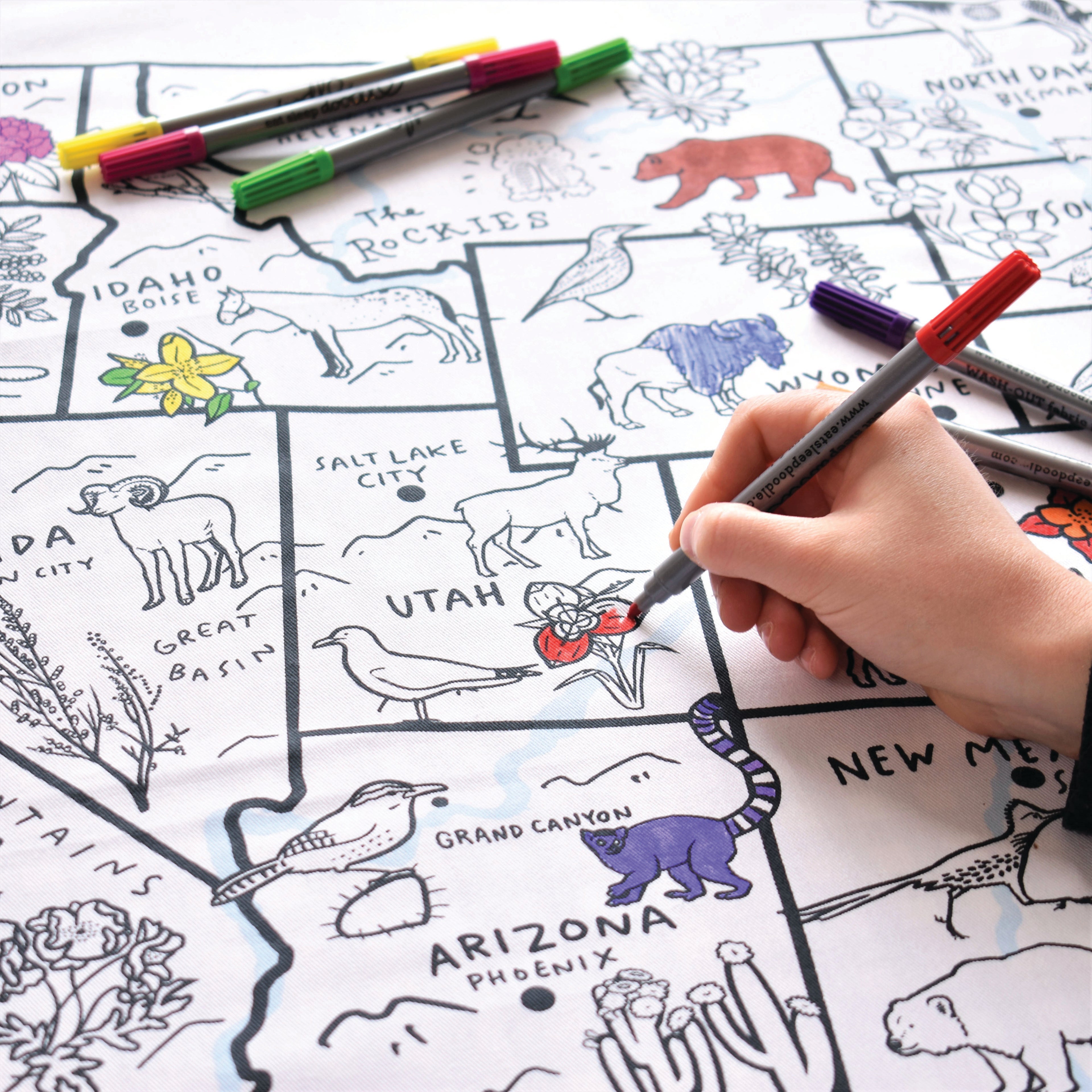 United States map color in tablecloth